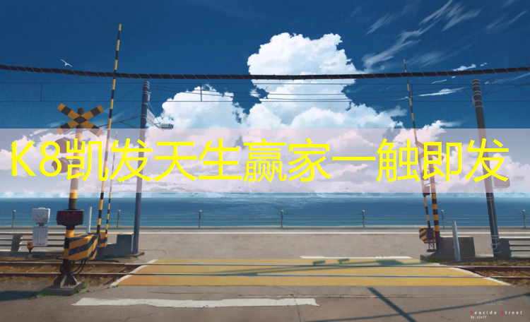K8凯发：塑胶跑道下边垫什么好呢