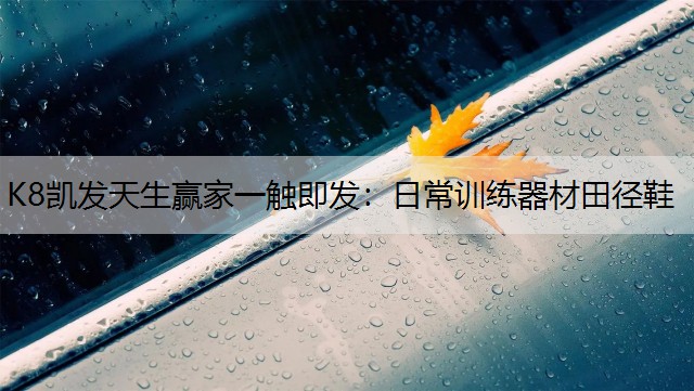 日常训练器材田径鞋